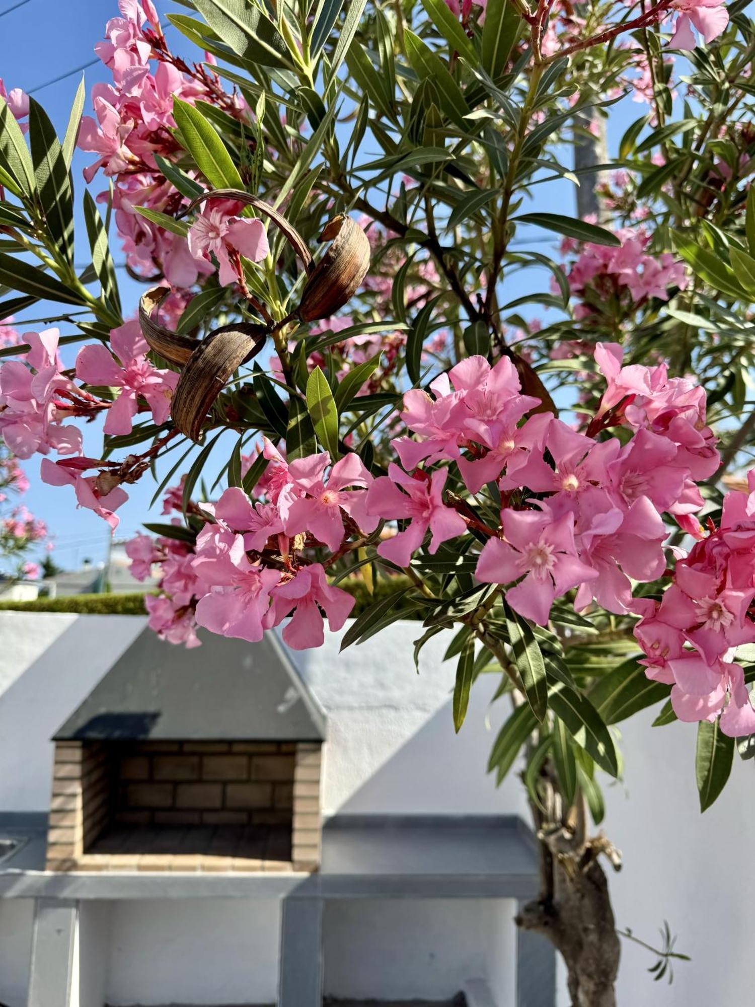 Holiday home Retama Somhome *